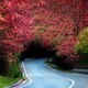 Illustration for article titled Its been a while since I had a nice long drive...